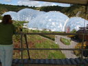 thumb_0808eden_015.jpg