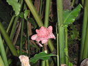 thumb_0808eden_023.jpg