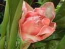 thumb_0808eden_025.jpg