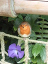 thumb_0808eden_026.jpg