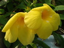 thumb_0808eden_029.jpg