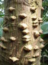 thumb_0808eden_030.jpg