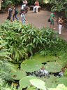 thumb_0808eden_031.jpg