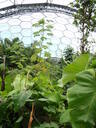 thumb_0808eden_032.jpg