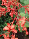 thumb_0808eden_036.jpg