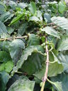 thumb_0808eden_041.jpg