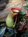 thumb_0808eden_042.jpg