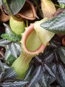 thumb_0808eden_043.jpg