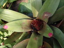 thumb_0808eden_044.jpg