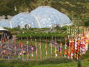 thumb_0808eden_048.jpg