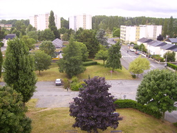 thumb_0808AuugustSF_003.jpg