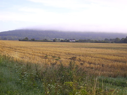 thumb_0808AuugustSF_068.jpg