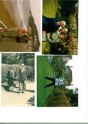 thumb_mum_sfamily005.jpg