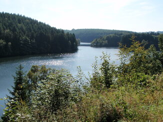 thumb_0809_Spa_001.jpg