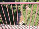 thumb_0809_Spa_012.jpg