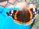 thumb_0809_Spa_016.jpg