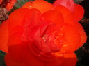 thumb_0809_Spa_019.jpg