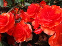thumb_0809_Spa_022.jpg