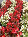 thumb_0809_Spa_035.jpg