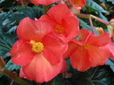 thumb_0809_Spa_042.jpg