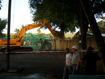 thumb_07pl.coco_CR_008.jpg