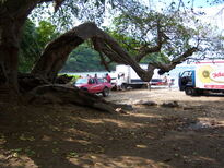 thumb_07pl.coco_CR_011.jpg