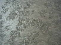 thumb_07pl.coco_CR_016.jpg