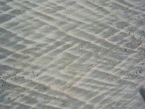 thumb_07pl.coco_CR_017.jpg