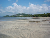 thumb_07pl.coco_CR_018.jpg