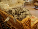 thumb_0810_Octbristol_001.jpg