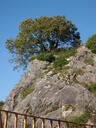 thumb_0810_Octbristol_014.jpg