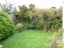 thumb_0810_Octcarbis_003.jpg