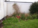 thumb_0810_Octcarbis_005.jpg