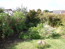 thumb_0810_Octcarbis_009.jpg