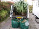 thumb_0810_Octcarbis_018.jpg