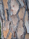 thumb_0810FL_002.jpg