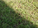 thumb_0810FL_005.jpg