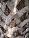 thumb_0810FL_006.jpg
