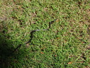 thumb_0810FL_012.jpg