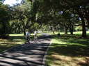 thumb_0810FL_015.jpg