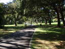 thumb_0810FL_016.jpg