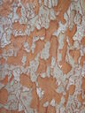 thumb_0810FL_017.jpg