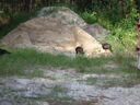 thumb_0810FL_023.jpg
