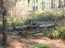 thumb_0810FL_042.jpg
