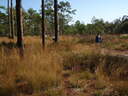 thumb_0810FL_043.jpg