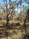 thumb_0810FL_049.jpg