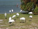 thumb_0810FL_062.jpg