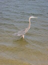thumb_0810FL_063.jpg