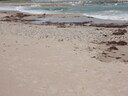 thumb_0810FL_067.jpg