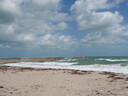 thumb_0810FL_068.jpg